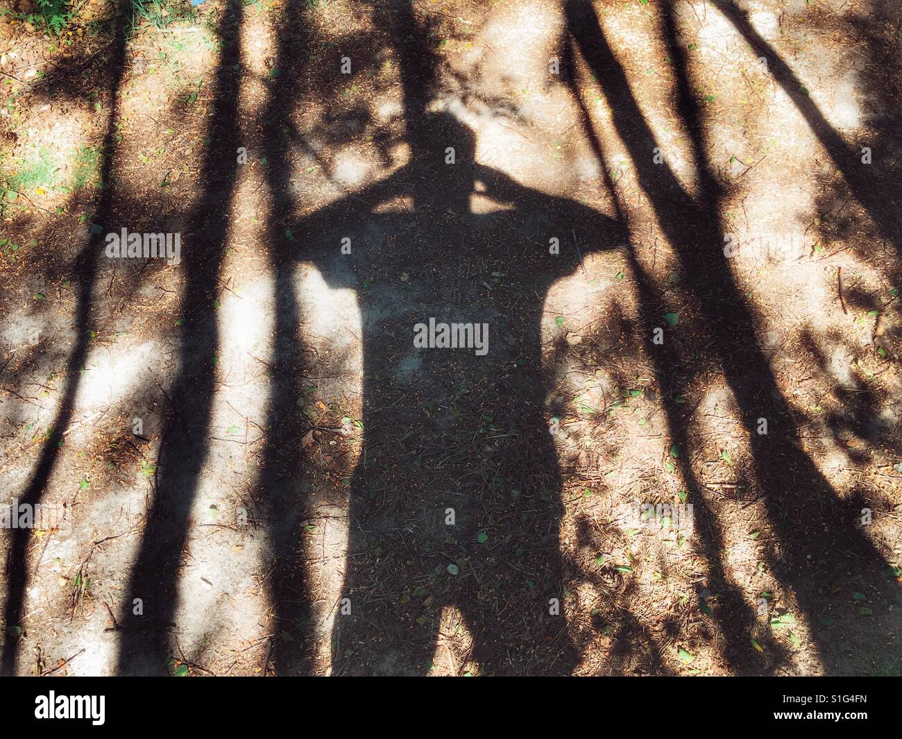 Birdwatching Foto Stock