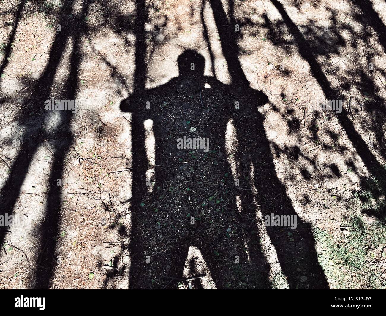 L'uomo nel bosco Foto Stock