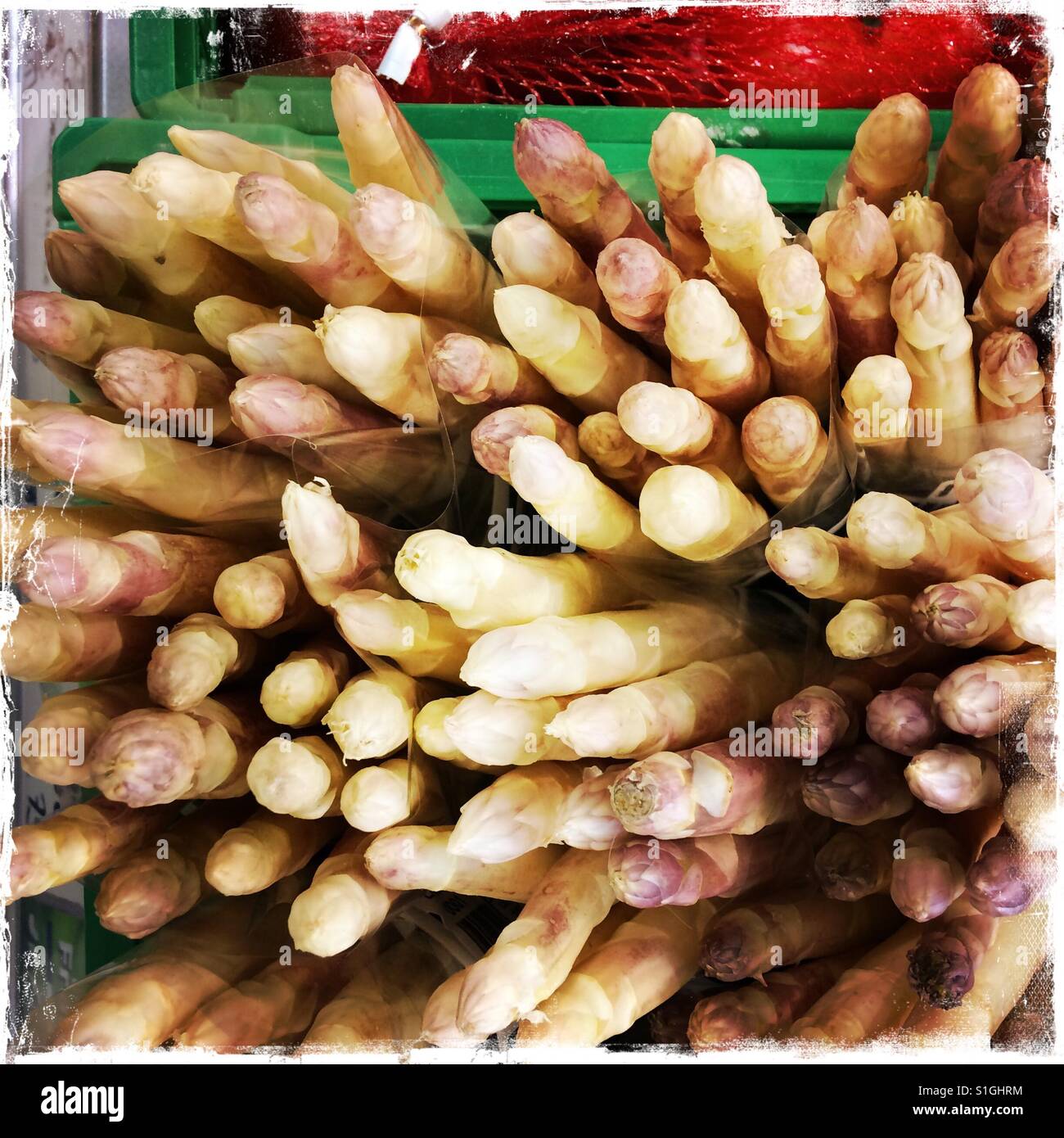 Mazzetto di asparagi in vendita nel supermercato francese. Foto Stock