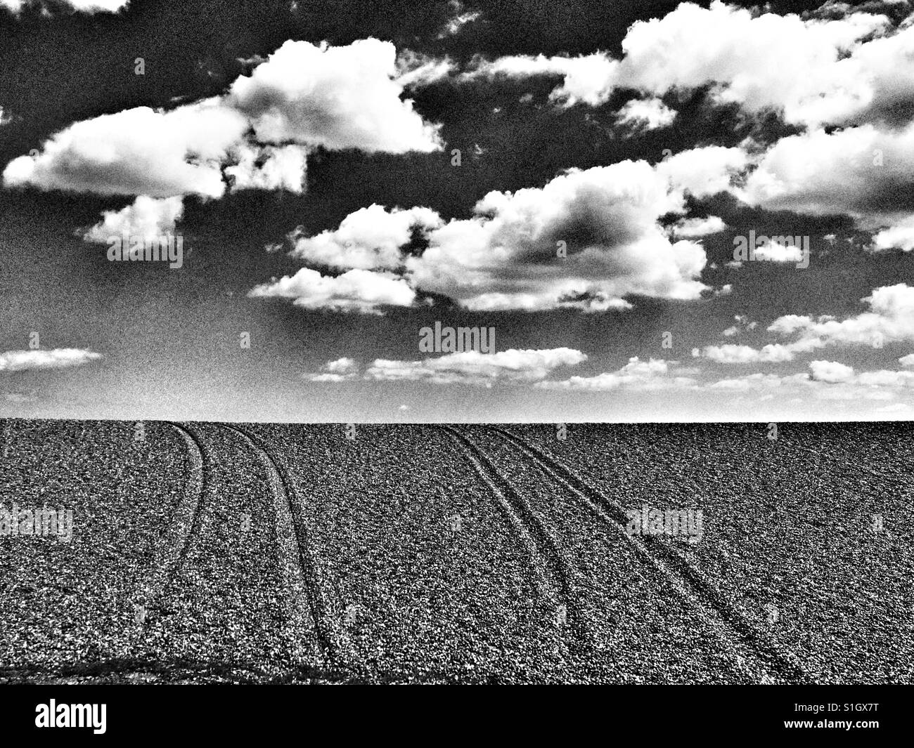 Ruota di veicolo segni su una spiaggia di ciottoli - Immagine stock catturata con smartphone