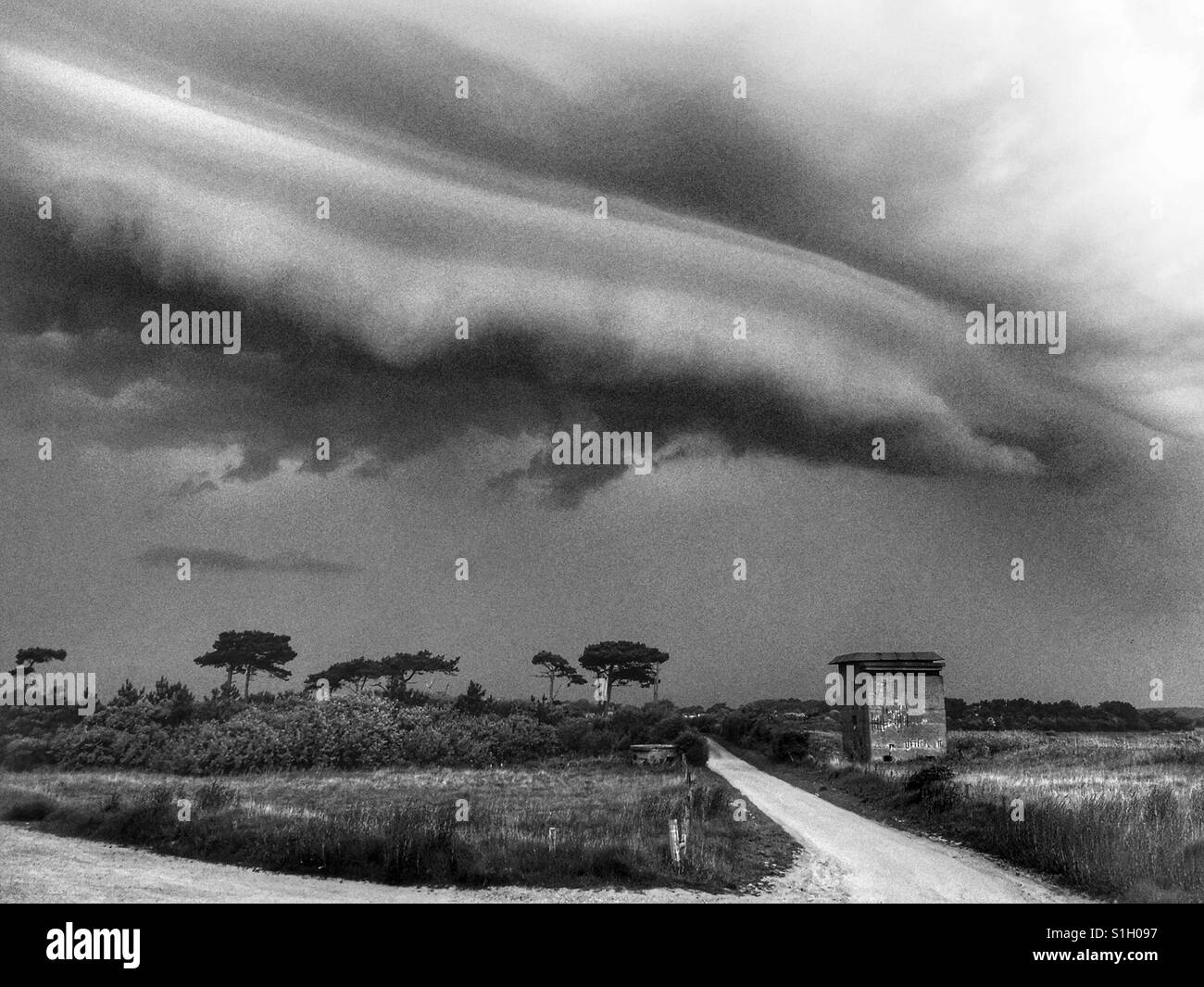 East Lane Bawdsey Suffolk - Immagine stock catturata con smartphone