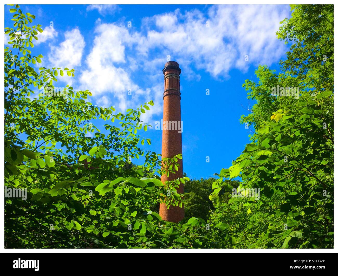 Camino in fabbrica con alberi Masson Mill Matlock Bath Derbyshire Peak District UK Foto Stock