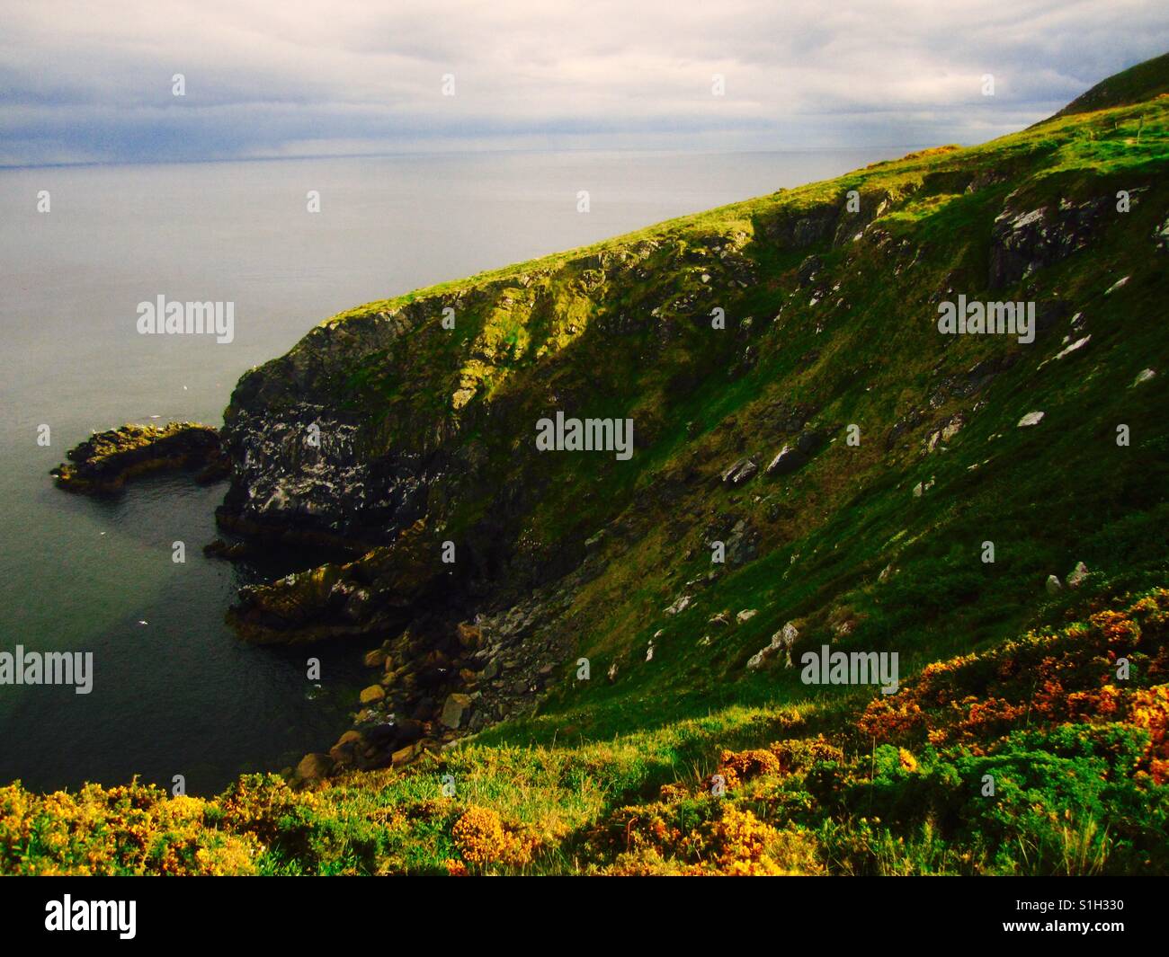 Splendide scogliere di Howth, Irlanda Foto Stock