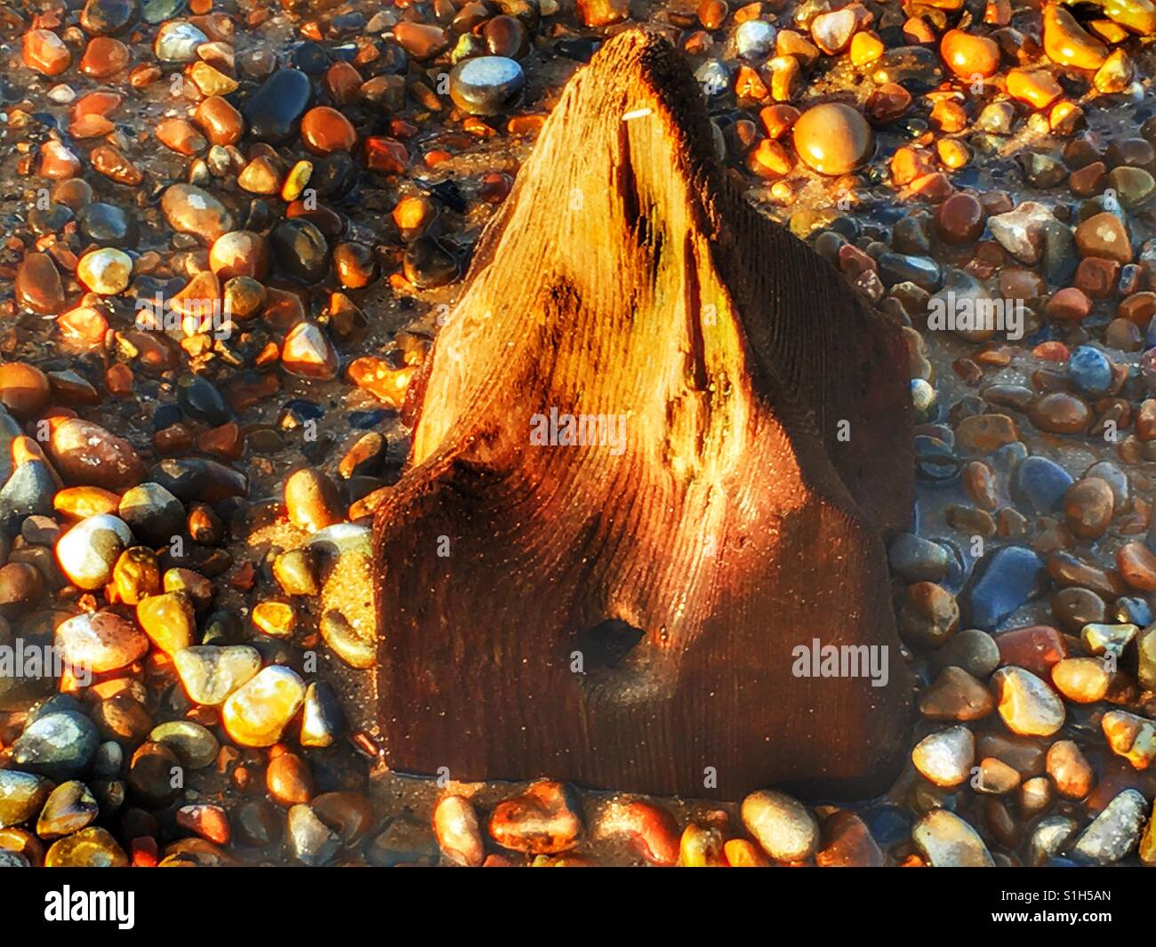 Erosi frangiflutti in legno Foto Stock