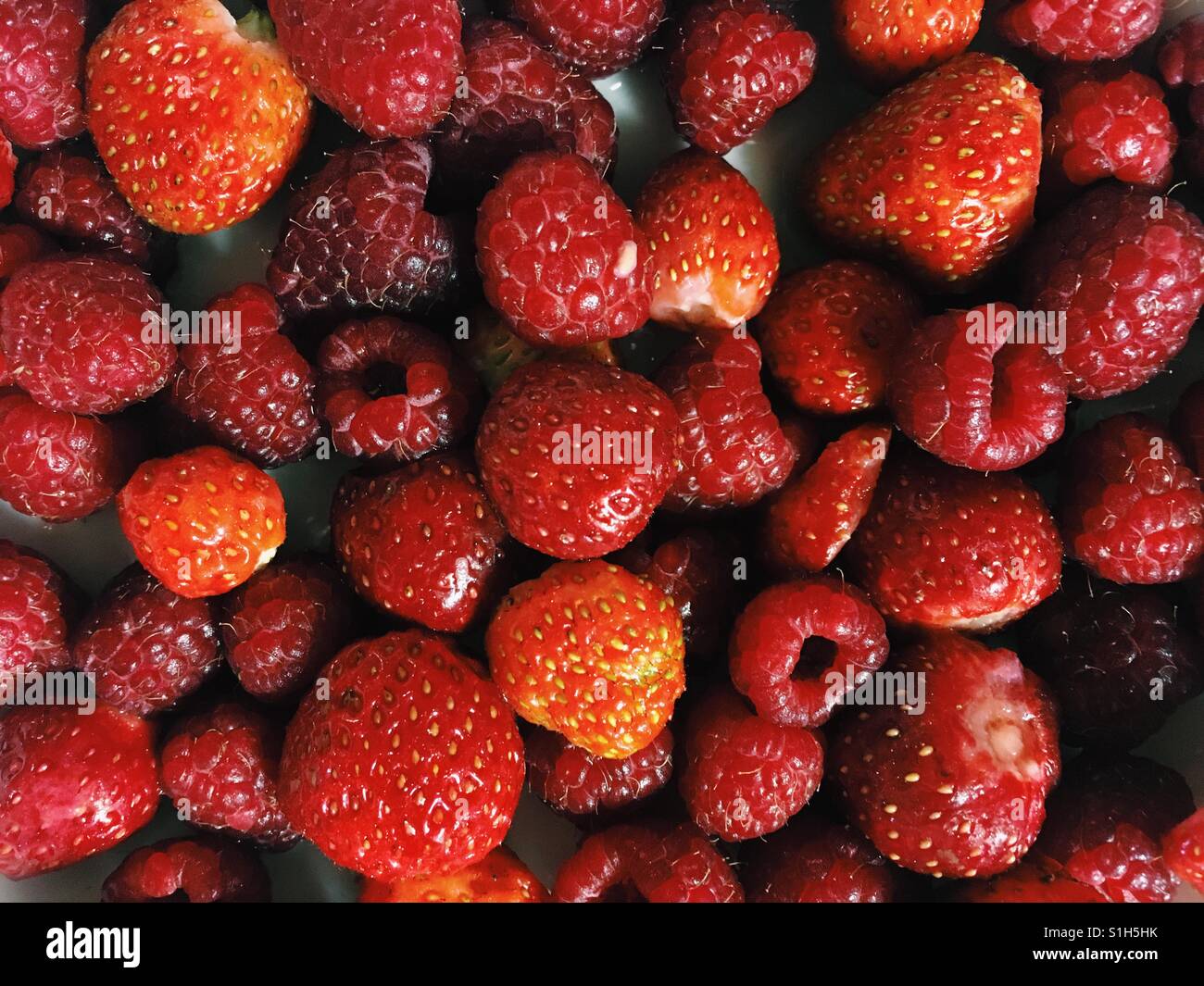 Frutti rossi Foto Stock