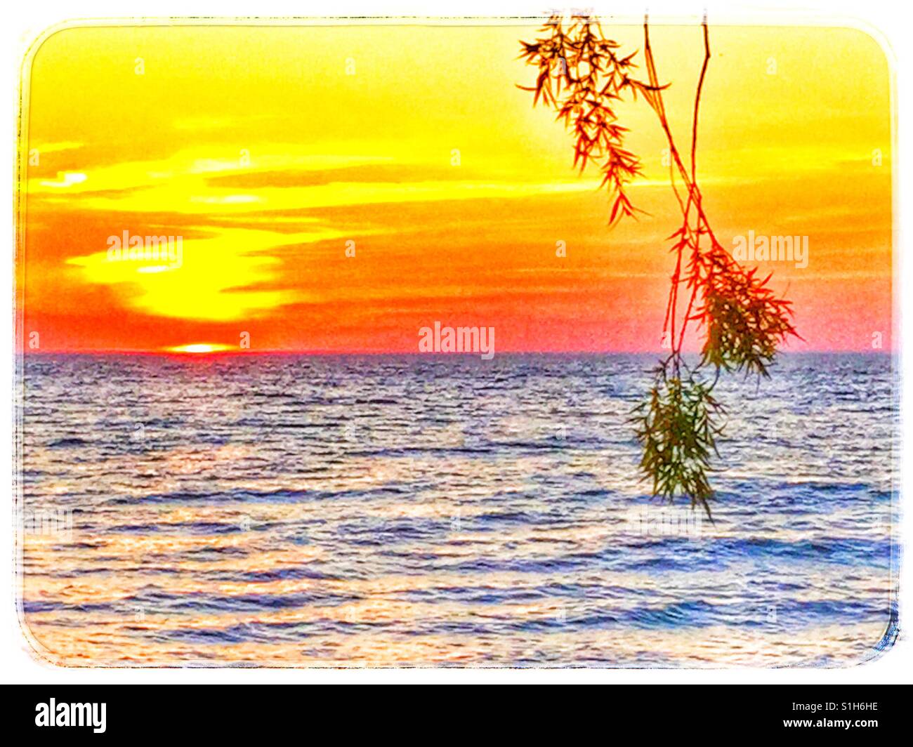 Vivid tramonto sul Lago Ontario. Foto Stock