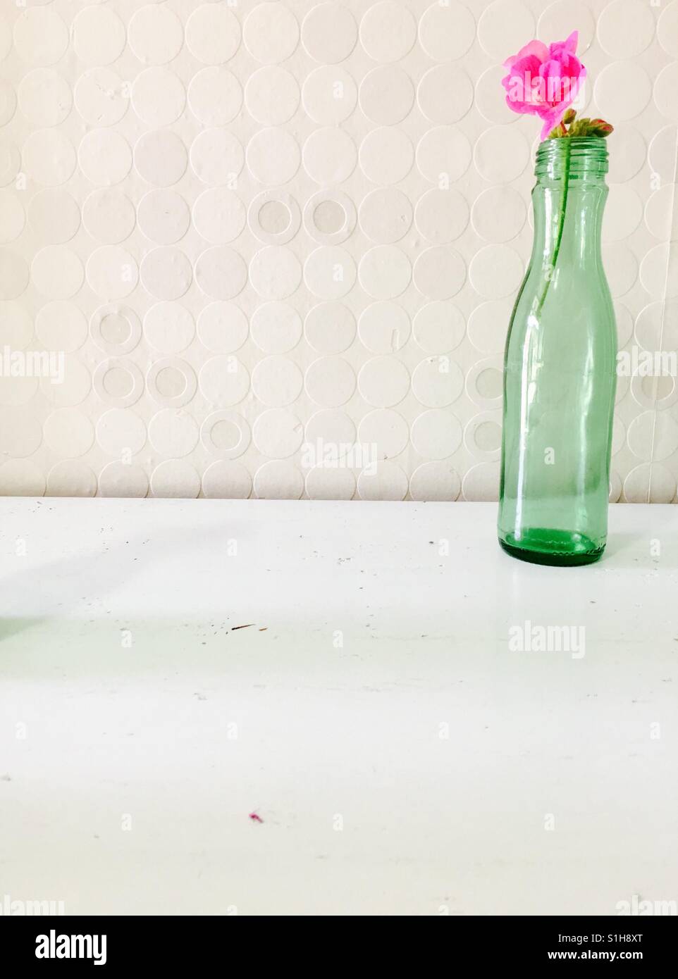 Geranio rosa in una bottiglia in vetro verde Foto Stock