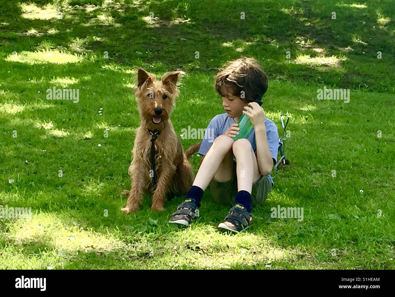 Un ragazzo si siede sul prato con il suo grazioso cucciolo. Foto Stock