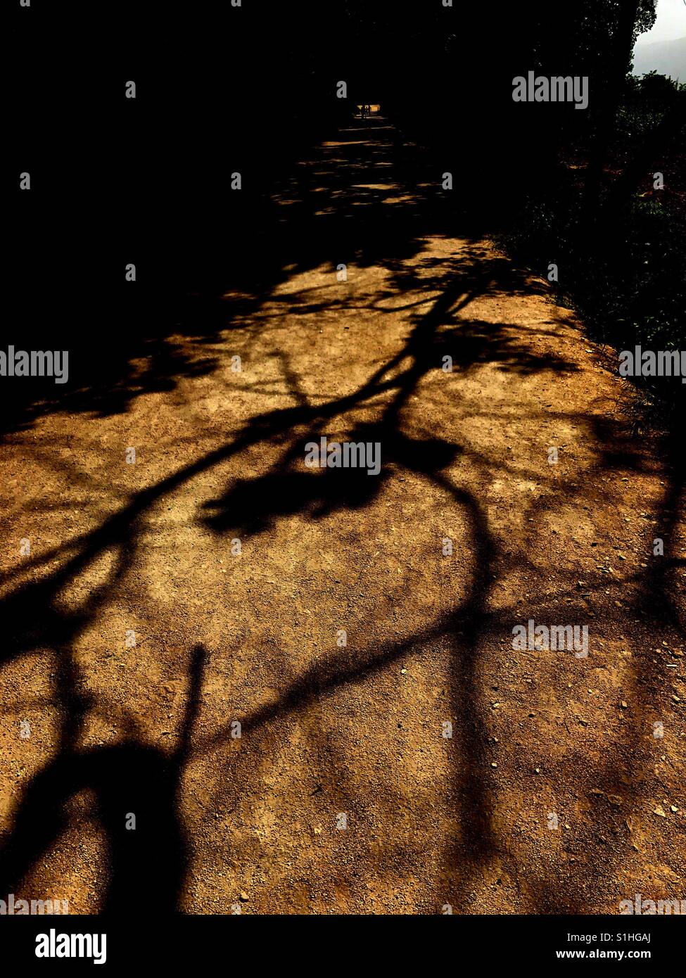 Ombre - Immagine stock catturata con smartphone