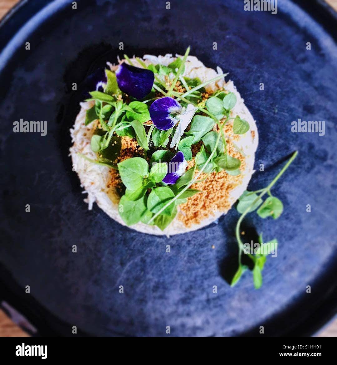 Il Dorset granchio, sedani rapa remoulade, mela Granny Smith e aneto. Visto dal di sopra sul grigio scuro piastra con fiori commestibili guarnire. Foto Stock