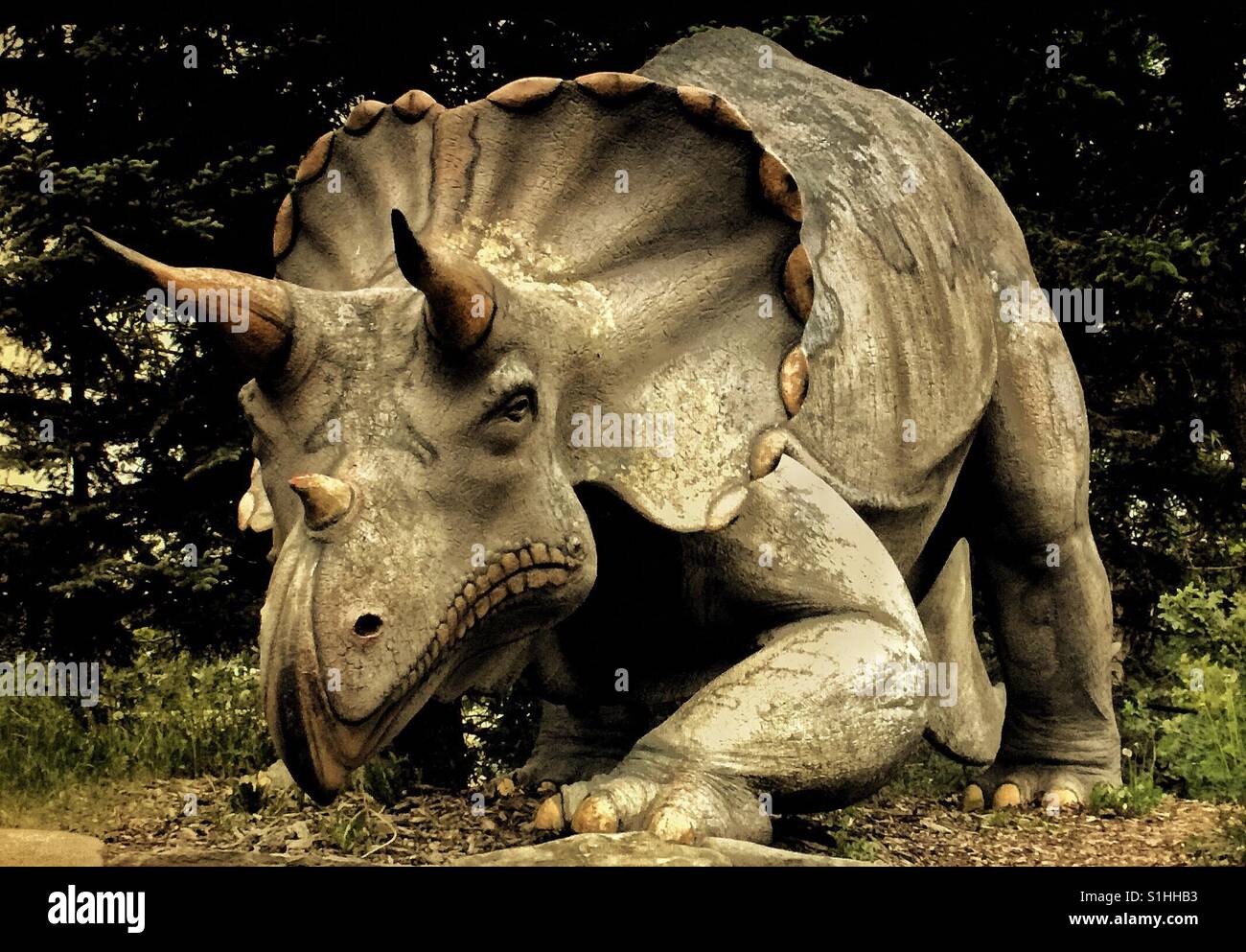 Pre storico di storia naturale park - Immagine stock catturata con smartphone