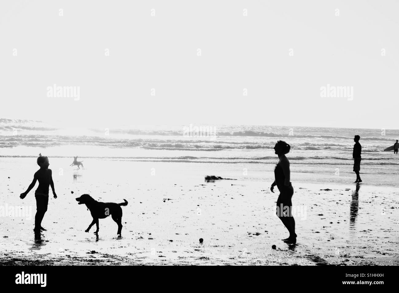 Dog Beach , vicino a San Diego, California Foto Stock