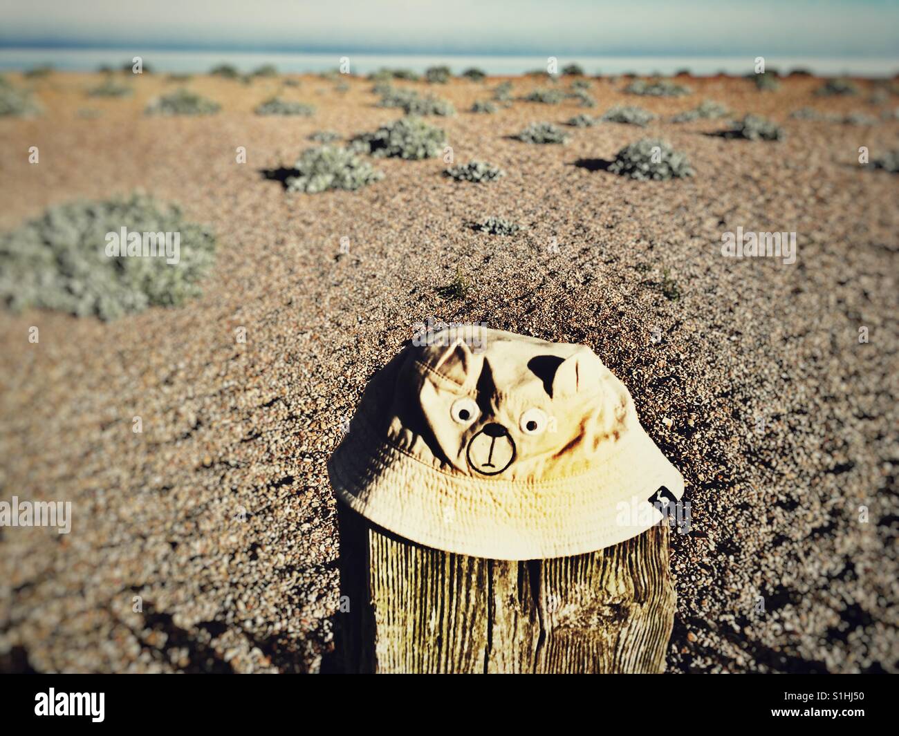 Lost & Found del bambino hat - Immagine stock catturata con smartphone