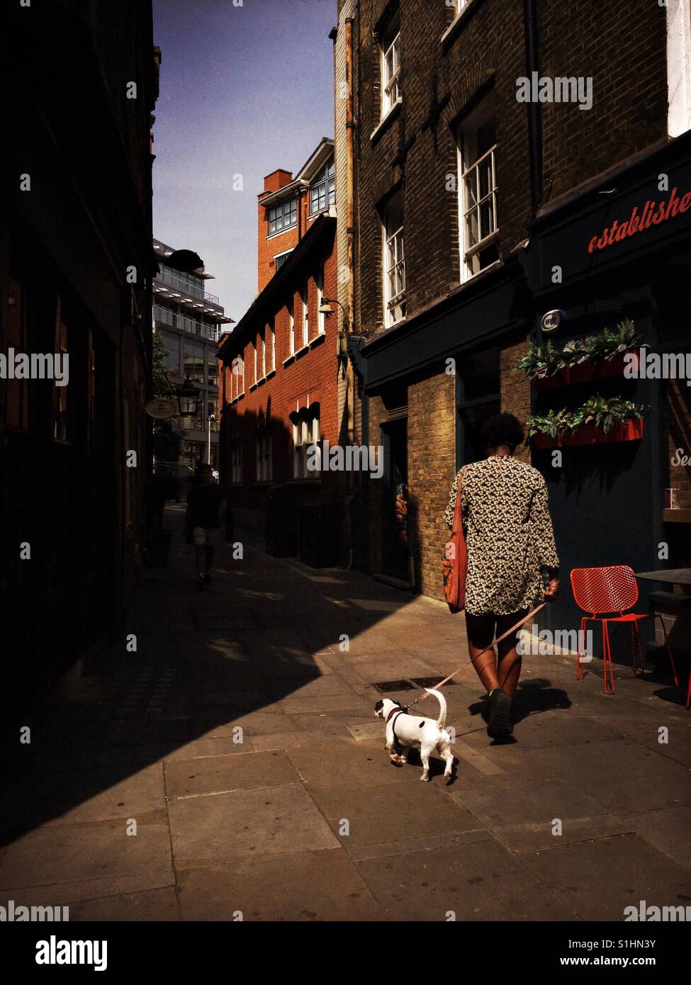 Donna che cammina il suo cane nelle strade di Londra - Immagine stock catturata con smartphone