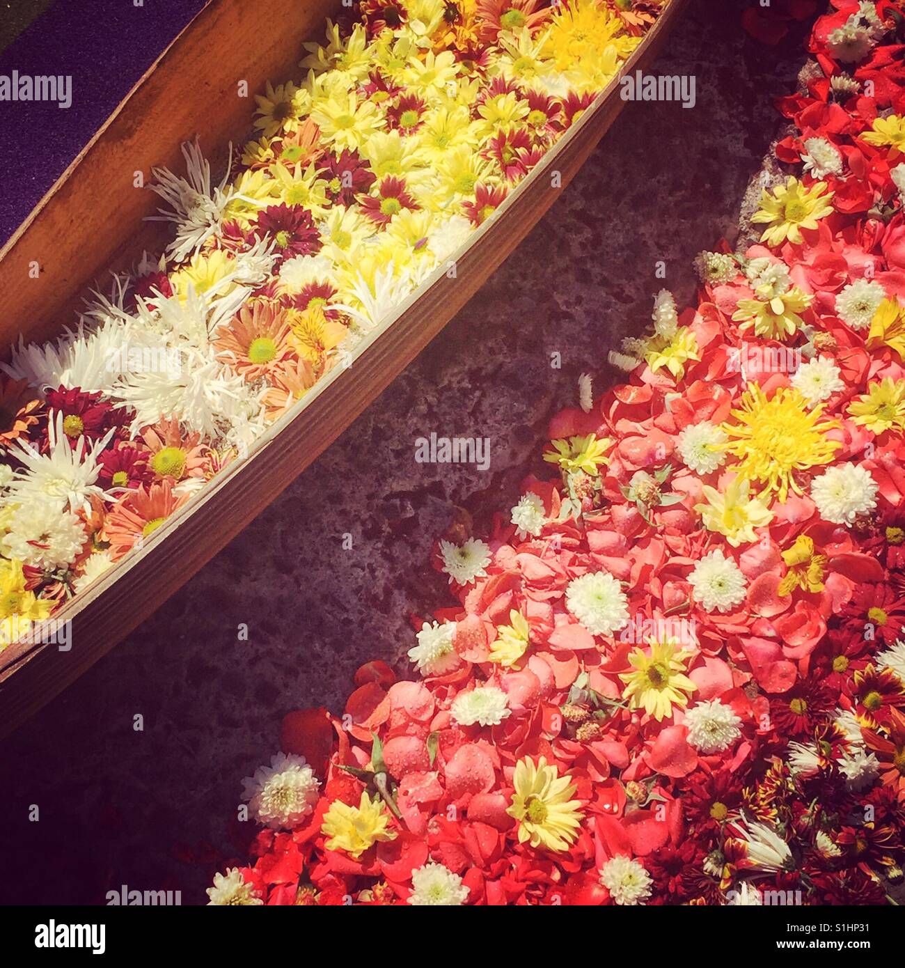 Fiori colorati sulla Settimana Santa processione tappeto in Antigua, Guatemala, America Centrale Foto Stock