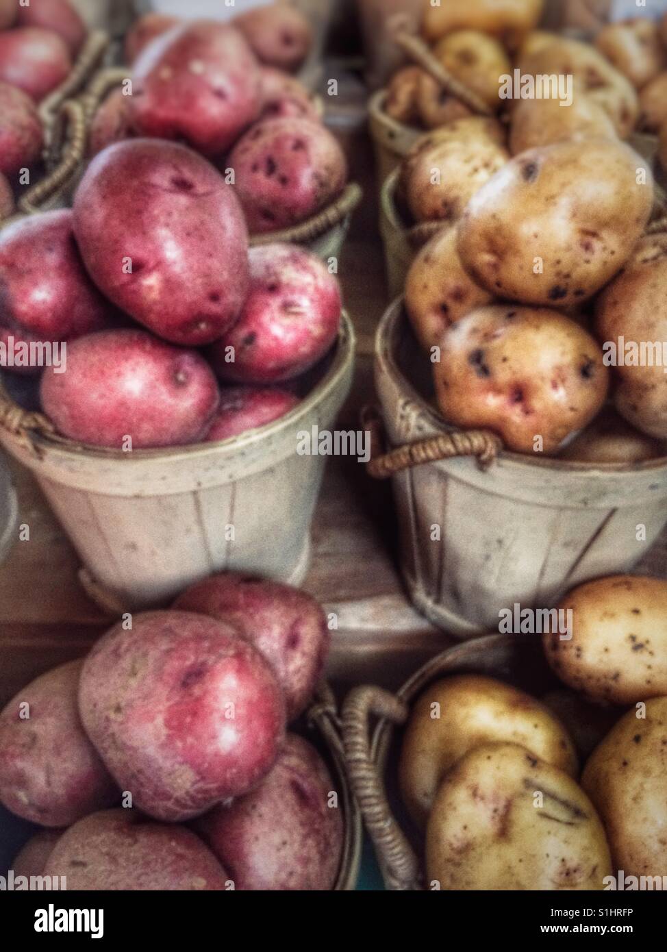 Patate al Jean Talon Mercato, Montreal, Quebec Foto Stock