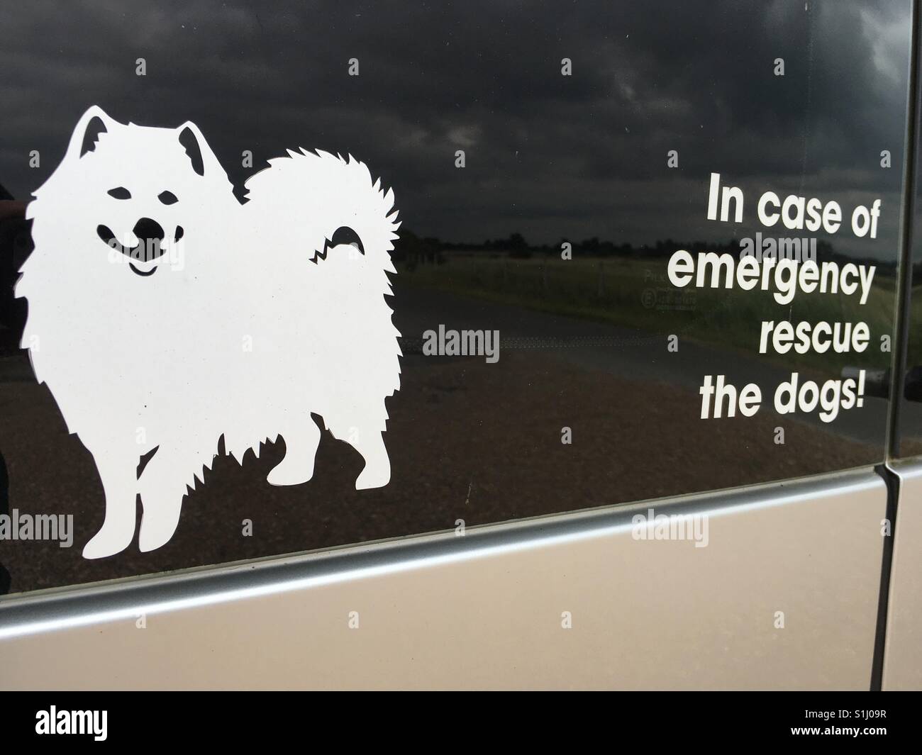 In caso di salvataggio di emergenza i cani - Immagine stock catturata con smartphone