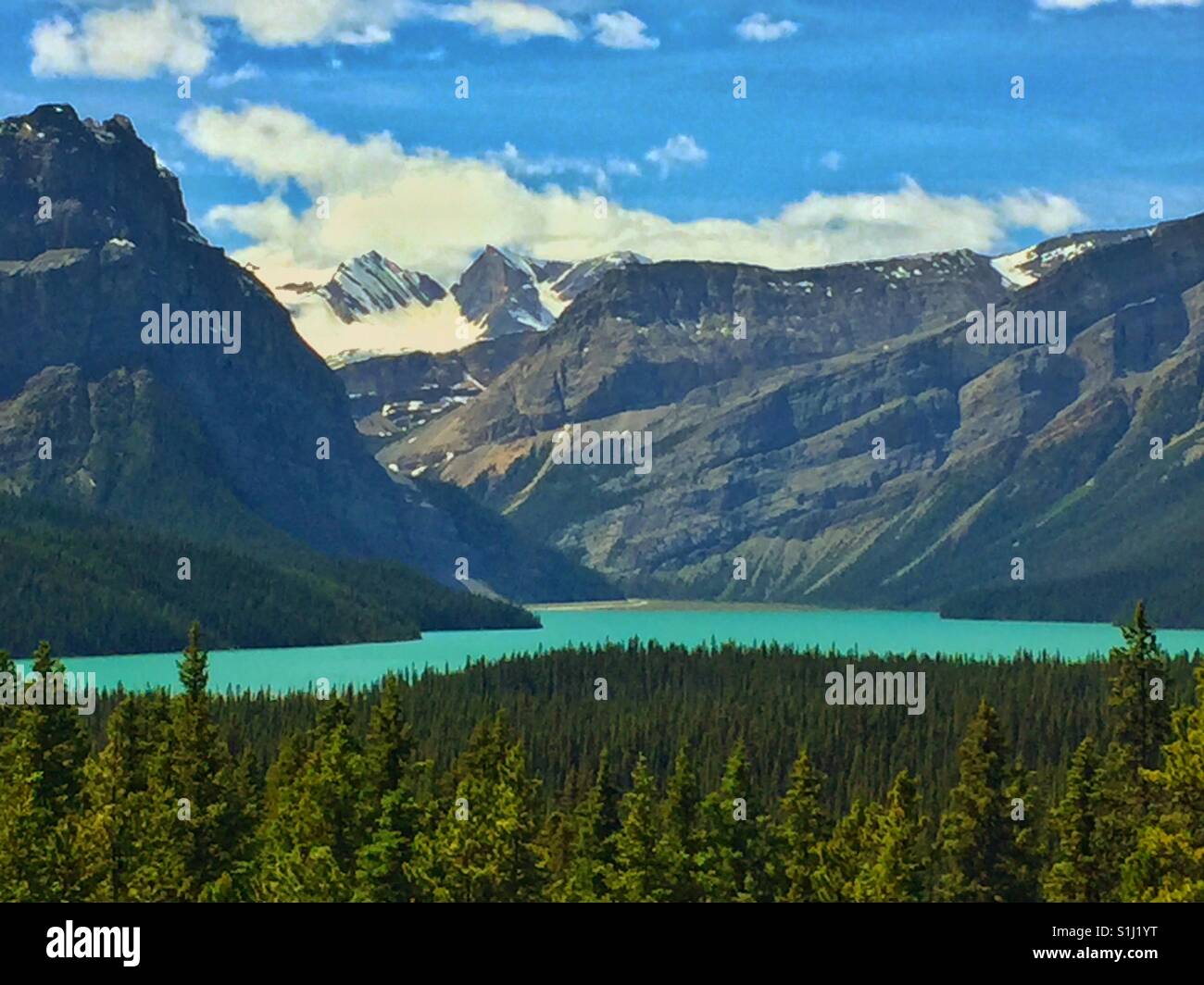 Hector lago lungo la da Banff a Jasper autostrada, Alberta, Canada Foto Stock