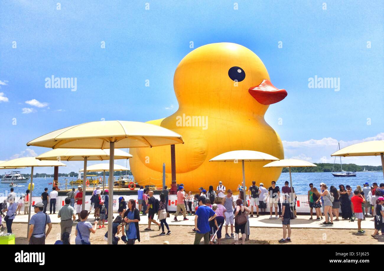 Enorme rubber duck a Toronto il lungomare. Foto Stock