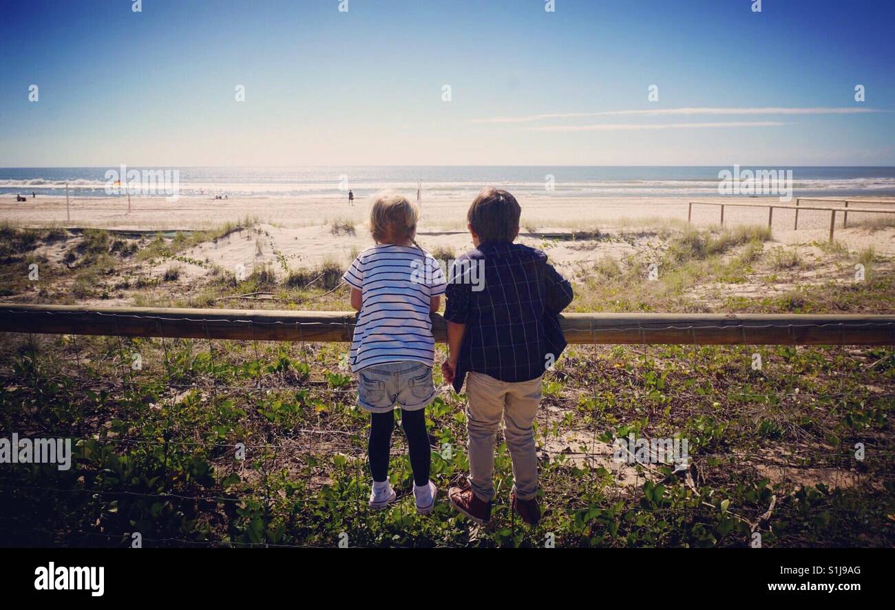 Migliori amici in spiaggia Foto Stock