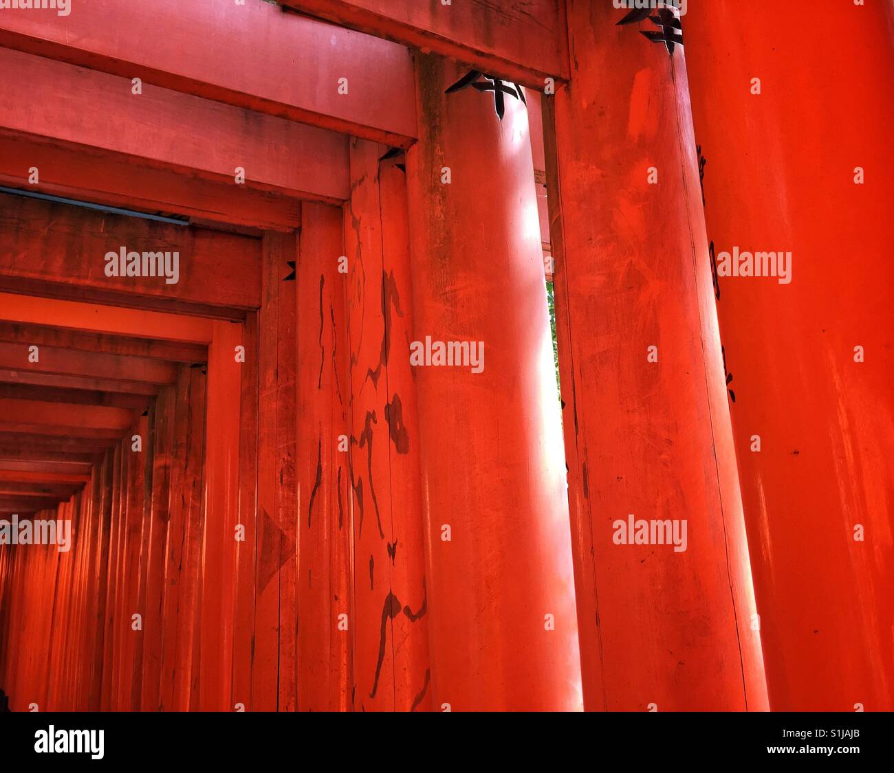 Dettagli di splendidi torii gates in Fushimi Inari in Kyoto Foto Stock