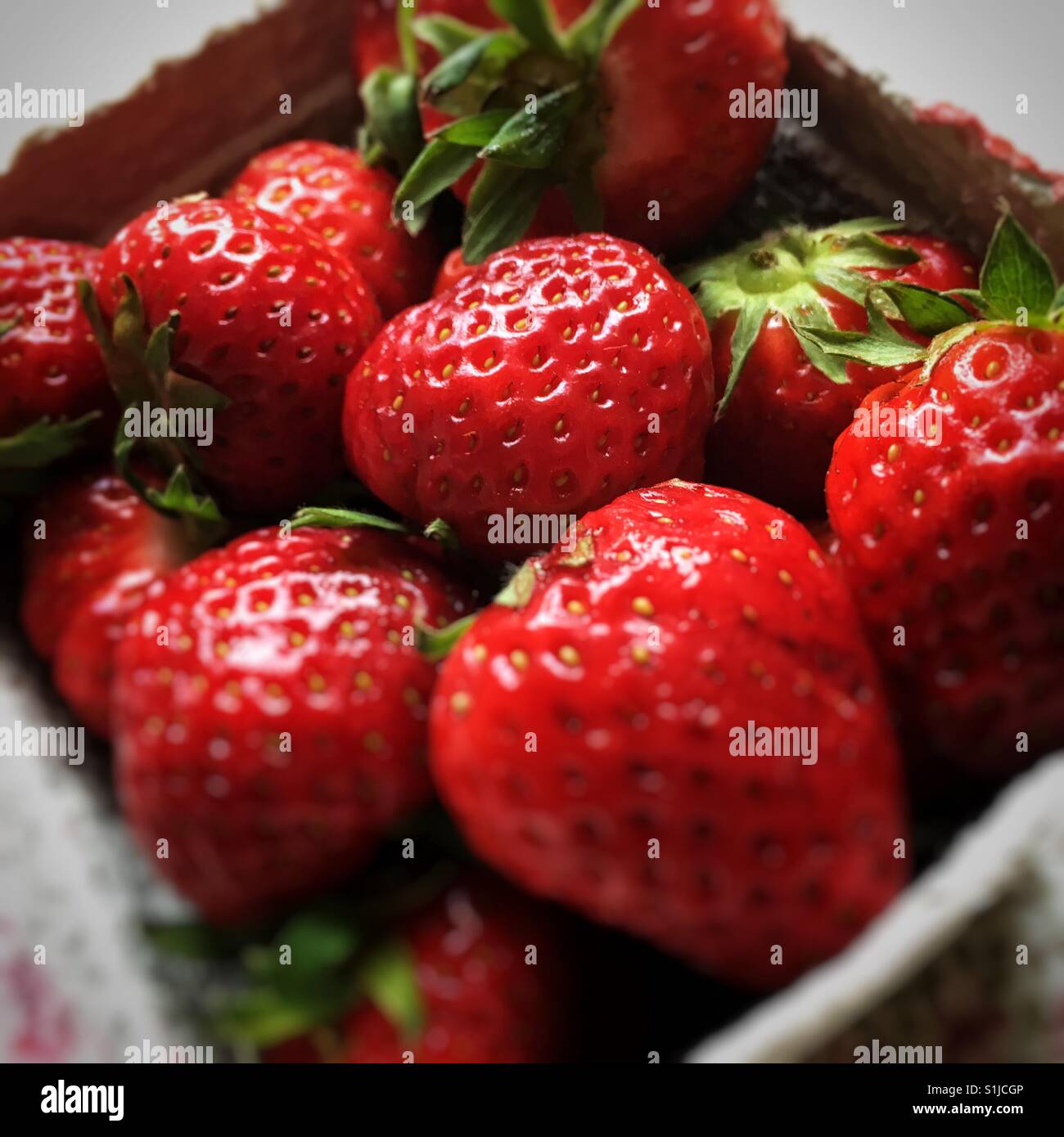 Rosso, gustose fragole, un simbolo tradizionale di estate in Svezia, dove a volte è visto come la quintessenza dell'estate. Foto Stock