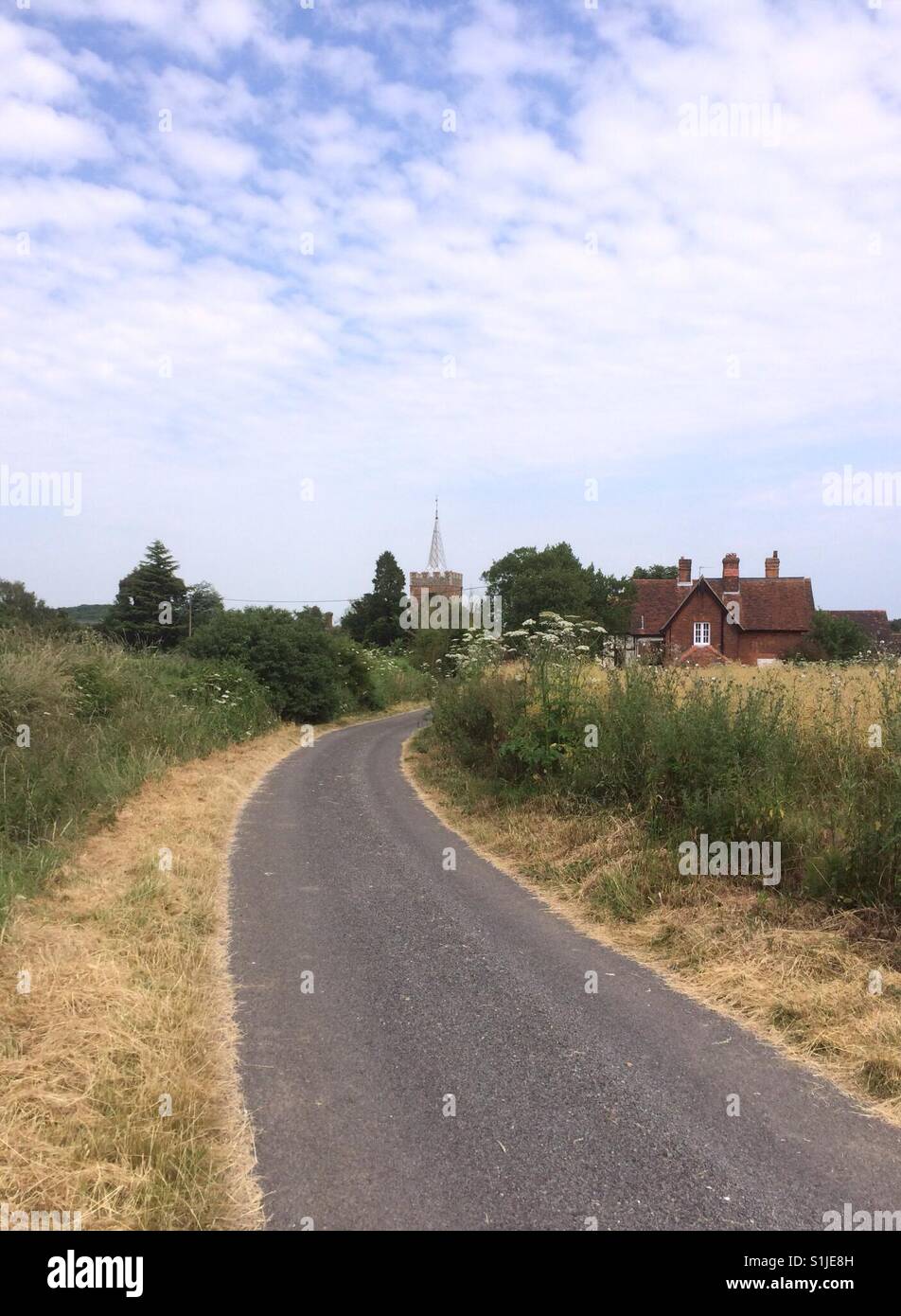 Paese vicolo che conduce ad una chiesa e cottage a Gilston, Herts. Una tipica scena Inglese con fiori nella siepe. Foto Stock