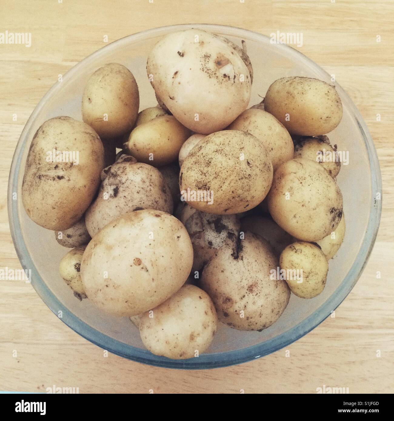 Ciotola di patate fatte in casa - Immagine stock catturata con smartphone