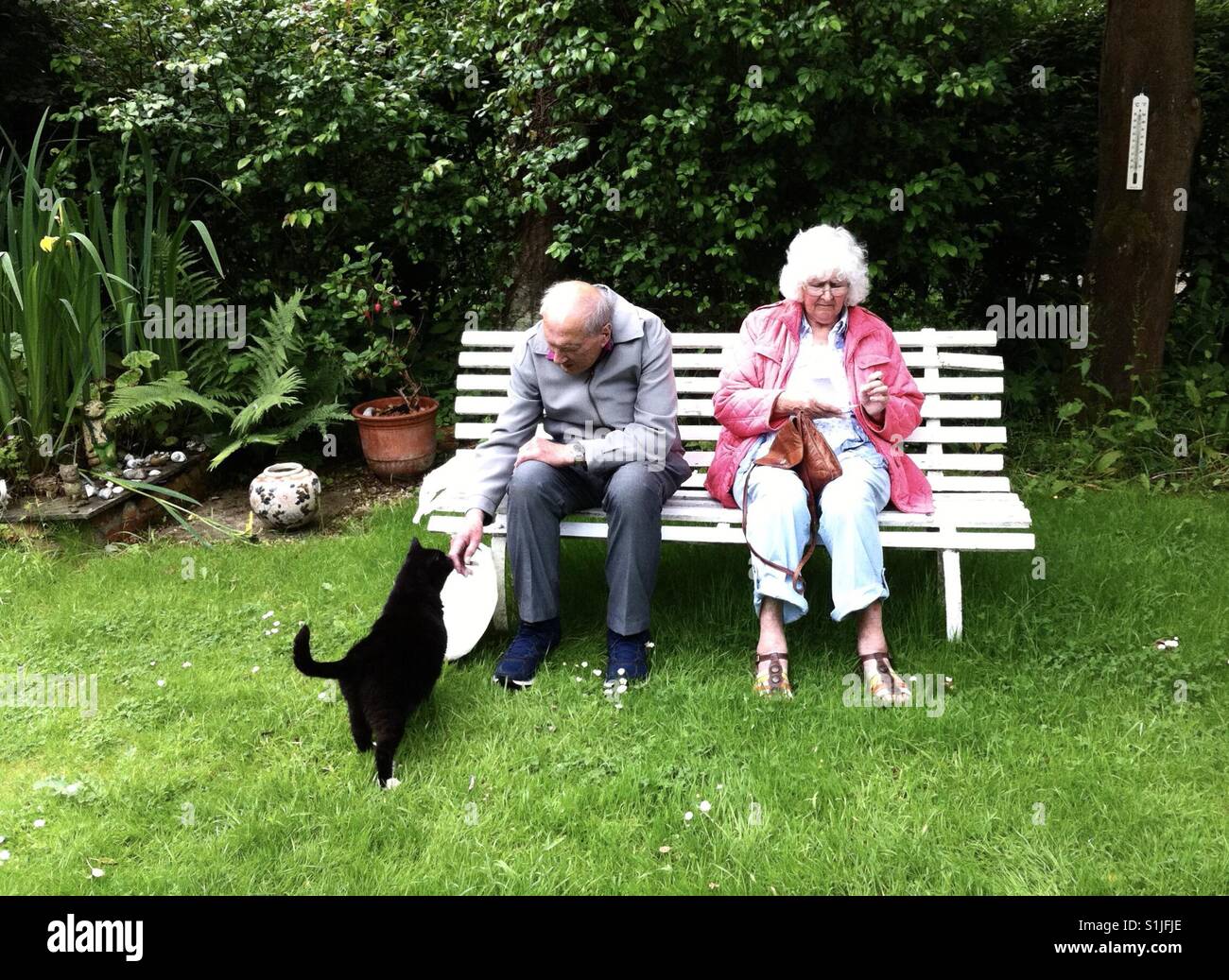 Una coppia di anziani seduti su una panchina da giardino sono avvicinati da un simpatico gatto nero. Foto Stock
