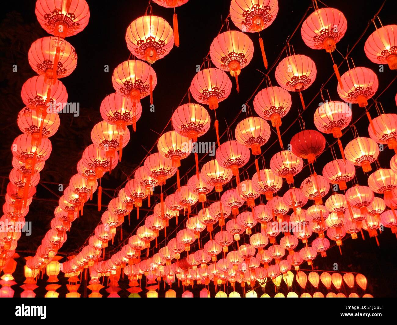 Chiang Mai le luci Foto Stock