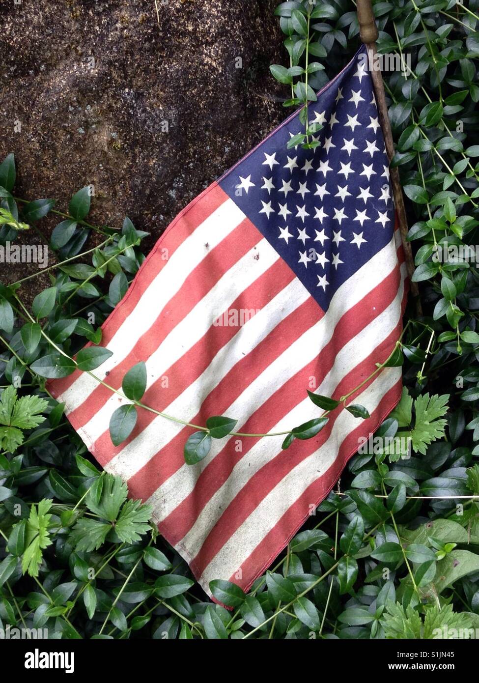 Ben indossati bandiera americana rischia di essere superato da vitigni e fogliame Foto Stock