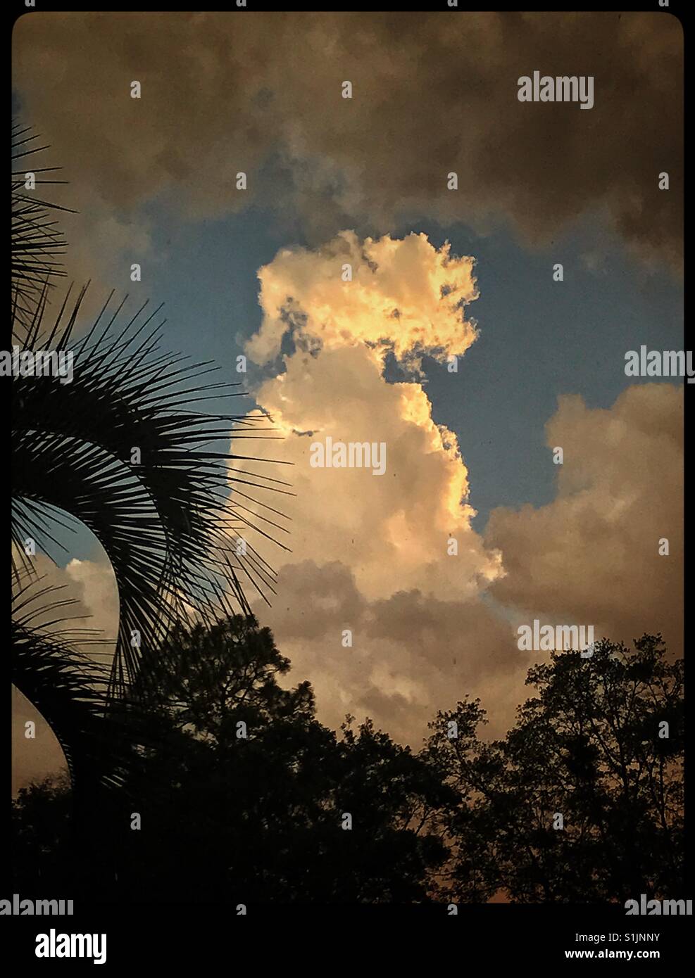 Serata drammatica nuvole dopo una pioggia tropicale tempesta Foto Stock