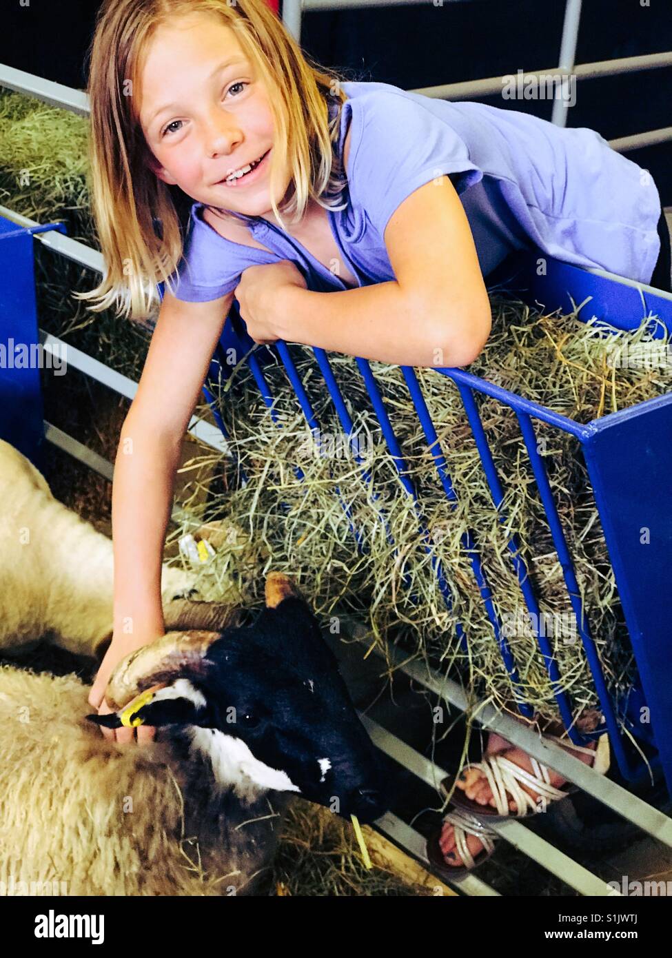 Una ragazza animali domestici una ram a una fiera agricola. Foto Stock