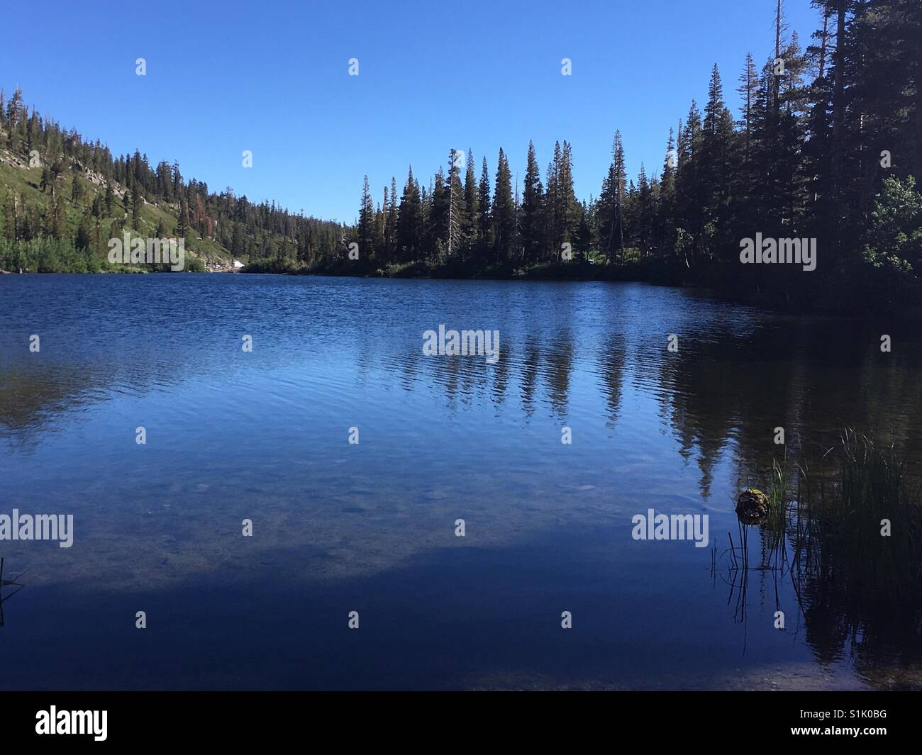 Mammoth lakes Foto Stock