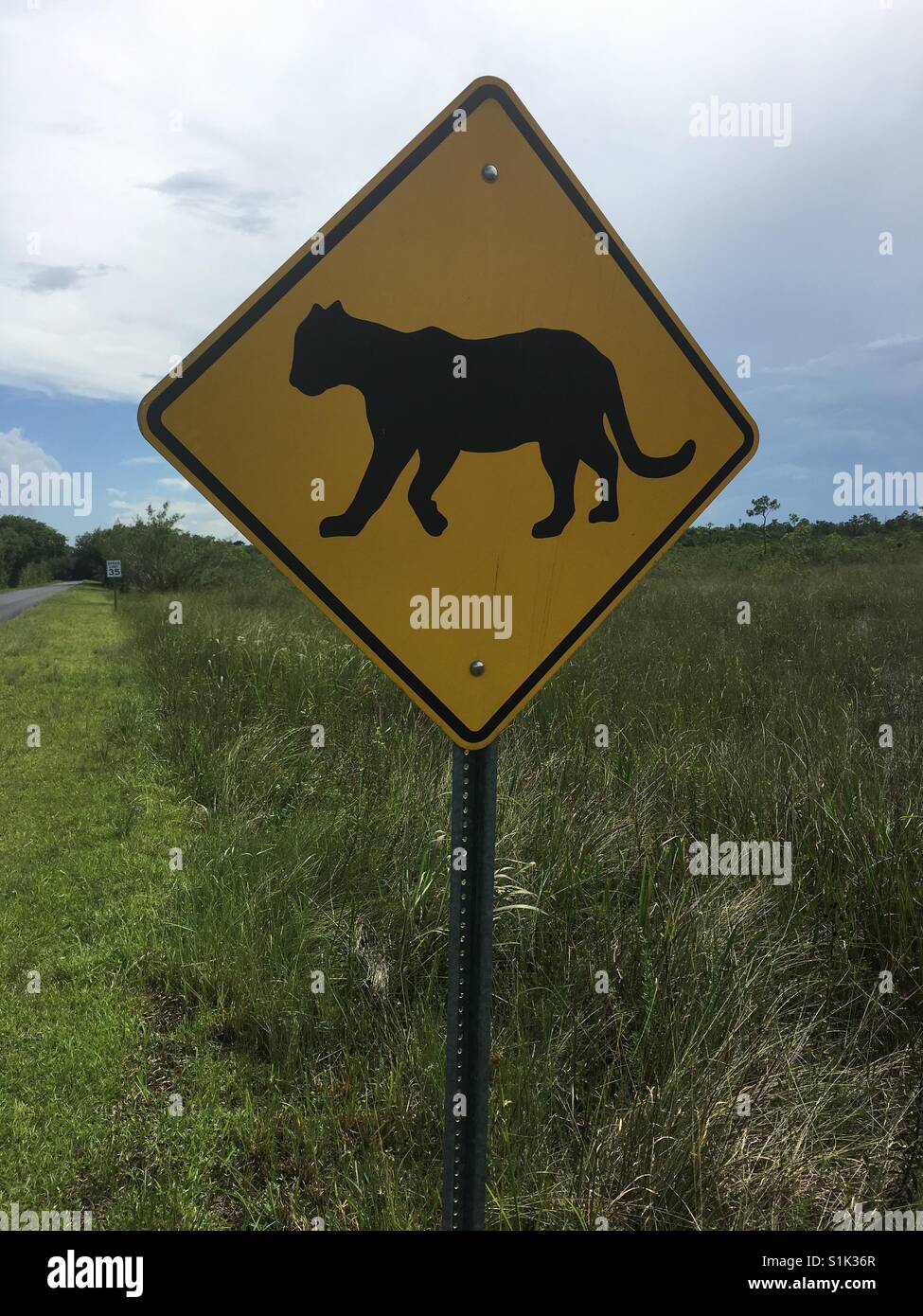 USA Florida Everglades National Park Florida Panther cartello stradale Foto Stock