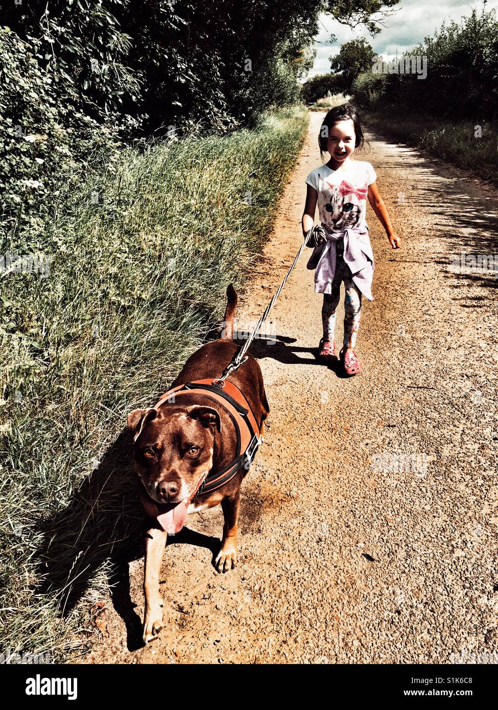 Passeggiate con il cane - Immagine stock catturata con smartphone