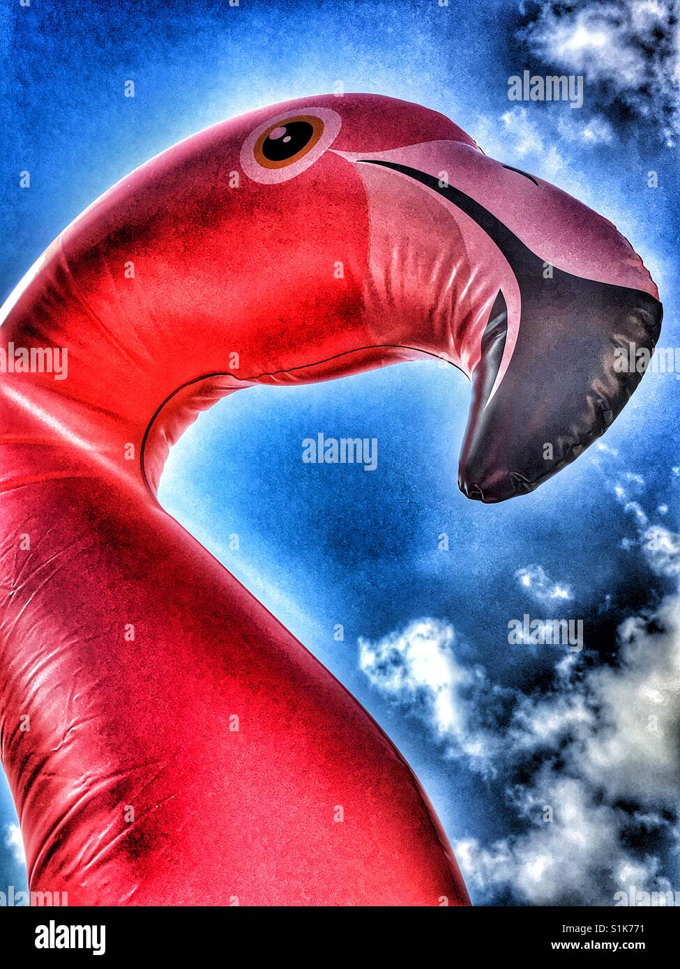 Divertimento estivo. Gonfiabile in plastica rosa fenicottero contro il cielo blu. - Immagine stock catturata con smartphone