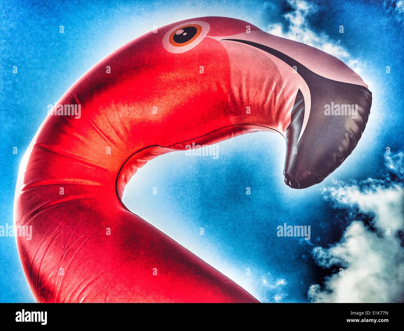 Divertimento estivo. Gonfiabile in plastica rosa fenicottero contro il cielo blu. - Immagine stock catturata con smartphone