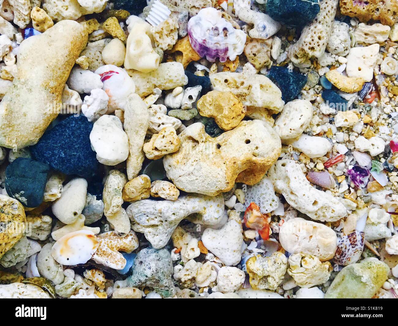 Pietre di mare dall'isola, Subic, Filippine Foto Stock