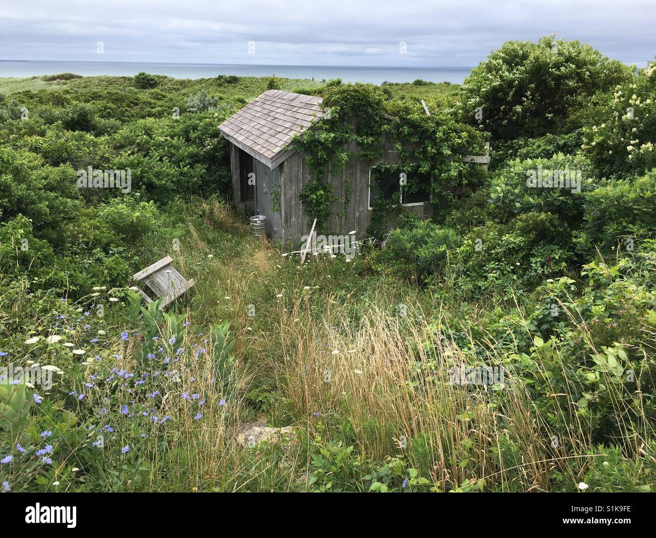 Un cottage abbandonato dal mare Foto Stock