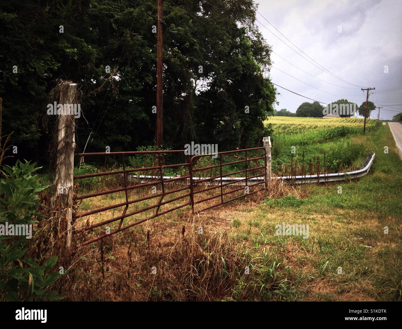 Nuvole temporalesche chase sun vicino cornfield su Carolina del Nord Foto Stock