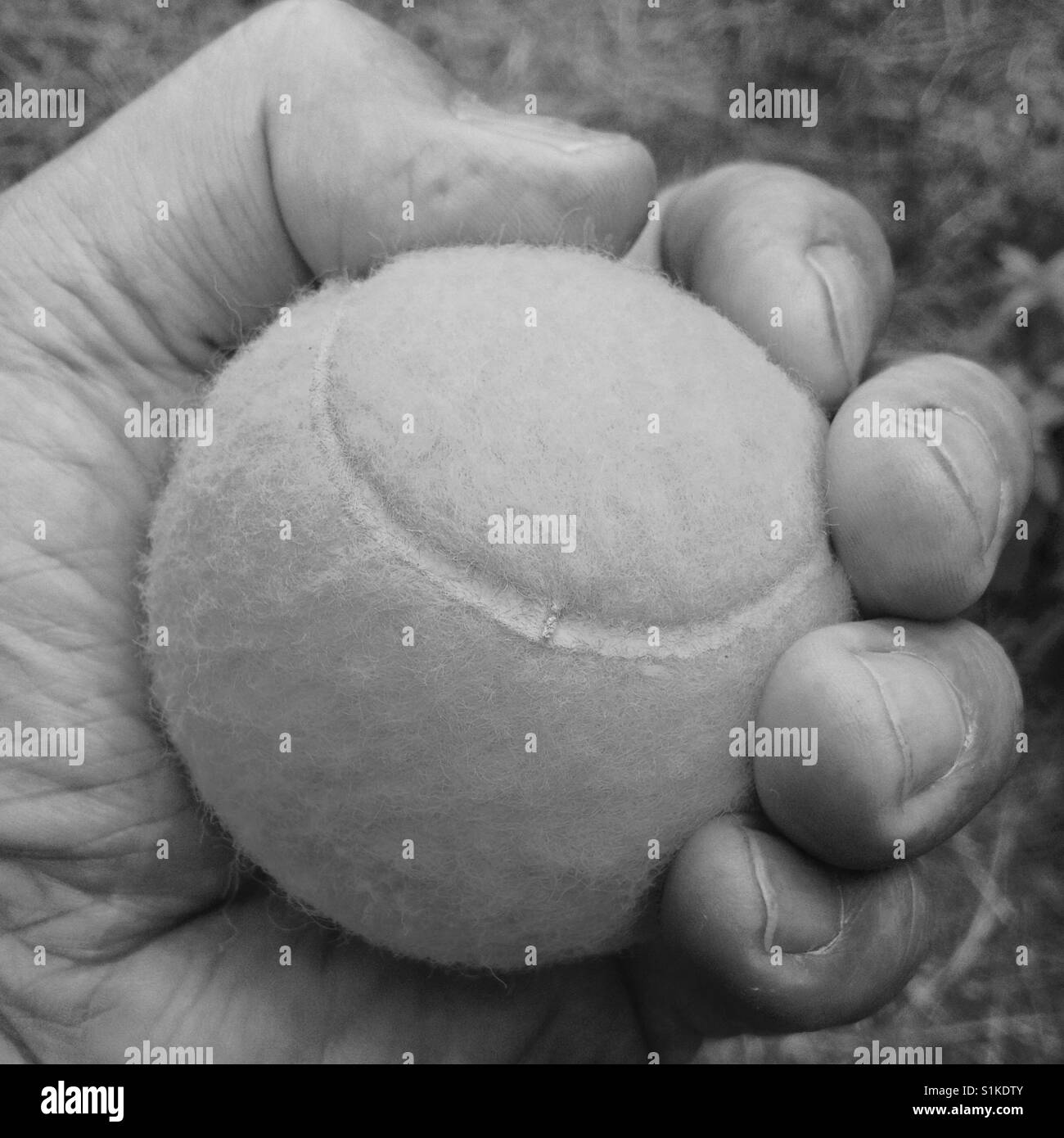 Palla da tennis in una mano - Immagine stock catturata con smartphone