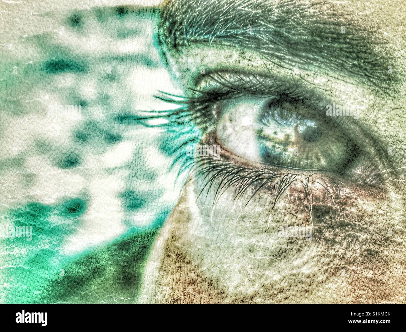 Donna di occhio, vicino fino alla ricerca in telecamera - Immagine stock catturata con smartphone