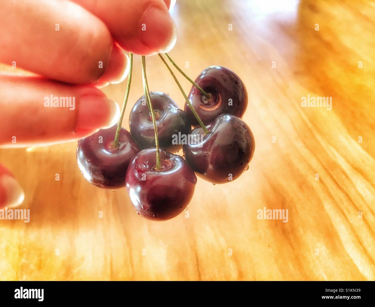 Mano azienda cinque ciliegie mature - Immagine stock catturata con smartphone