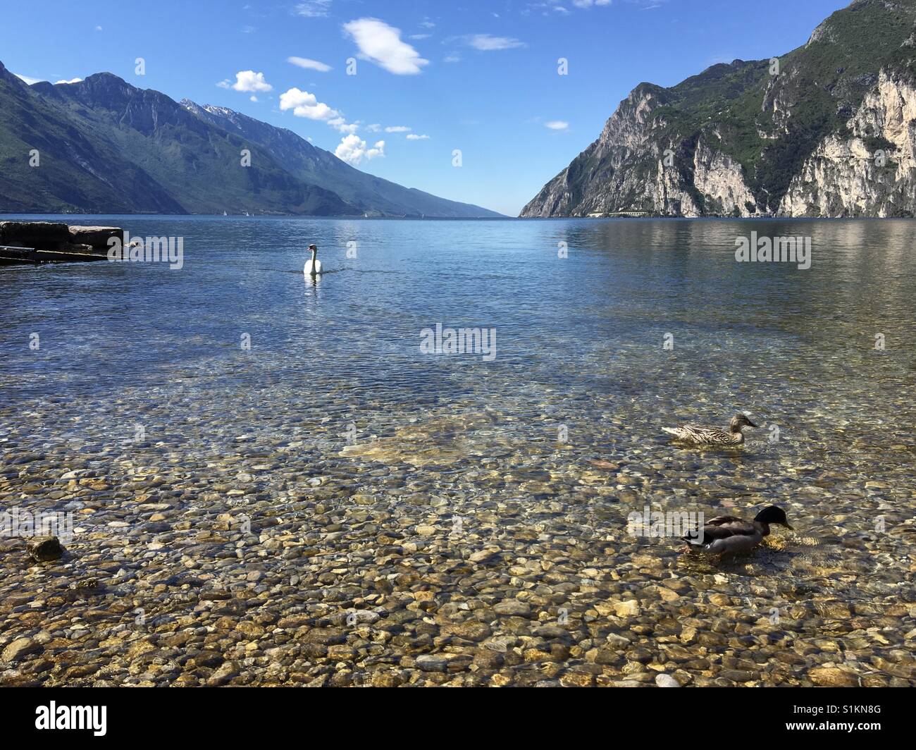 Riva del Garda sul Lago di Garda, Italia - Maggio 2017: Guardando fuori dal bordo delle acque cristalline verso il lago Foto Stock