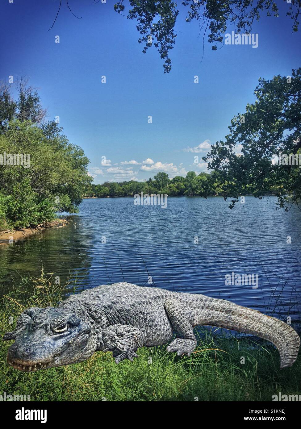 Il coccodrillo sulla riva di un lago Foto Stock