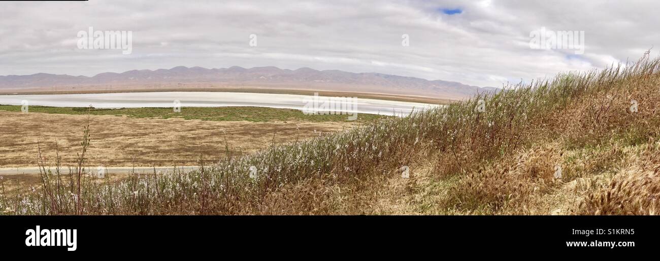 Rewilding Foto Stock