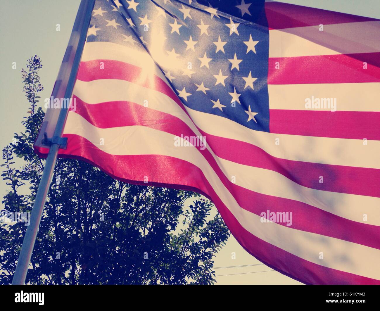 Sventolando gloria - Immagine stock catturata con smartphone