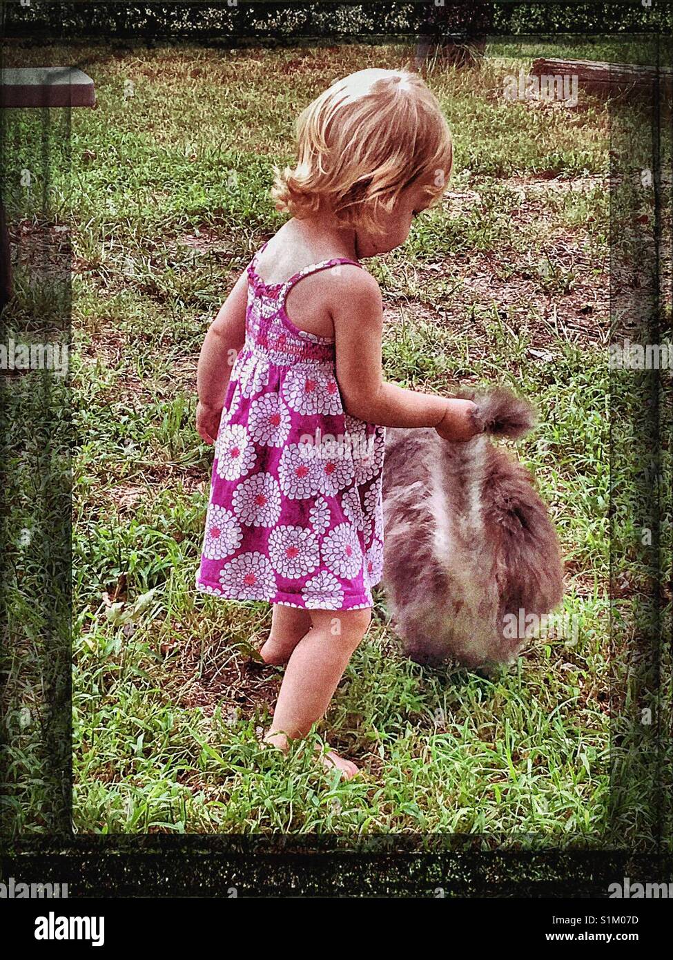 Little Girl holding gatti la coda in modo cat non si allontana dalla sua Foto Stock