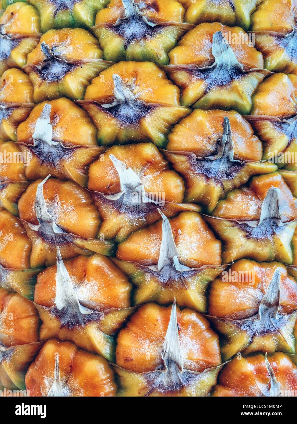 Pelle di ananas - Immagine stock catturata con smartphone